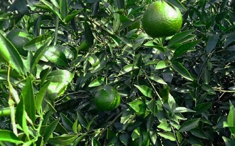 ���x���@����400����ƪ