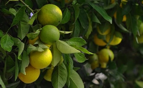 �ҼҵĹ��@С�W(xu��)������