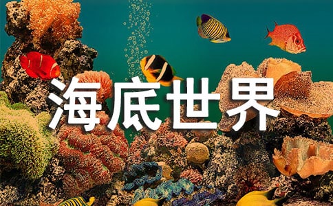 小學(xué)美術(shù)《海底世界》教案