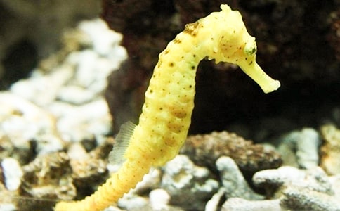 �а�ƌW(xu��)���(d��ng)�̰������R�ְ���������