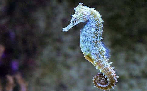 С���R�Ěv�U(xi��n)300������