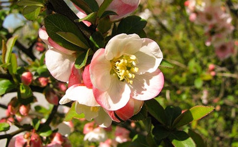 ���P(gu��n)��������500��7ƪ