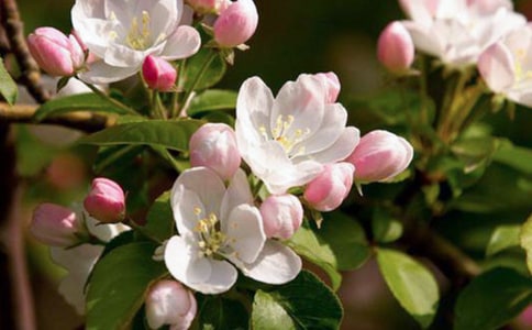 ��еĺ����x���