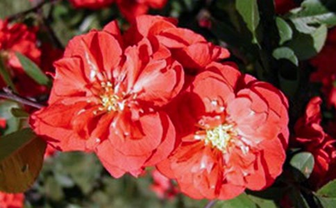 ��еĺ����x���3ƪ