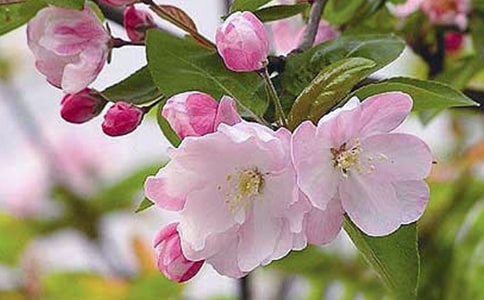 �k���ĺ�������