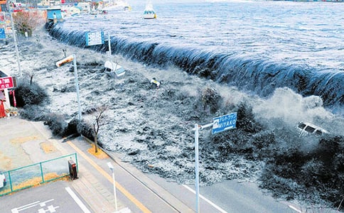 ��ֵĺ��[����