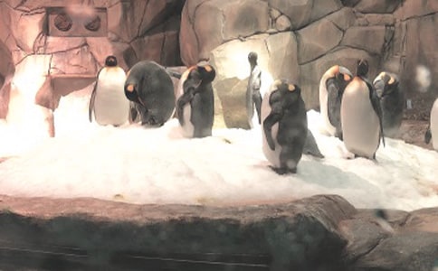 ���Ͼ����󹫈@600������