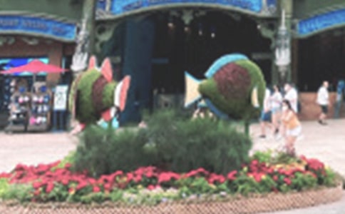 �����ӛ���B�ϻ������󹫈@����