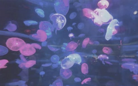 ���󹫈@С�W(xu��)����