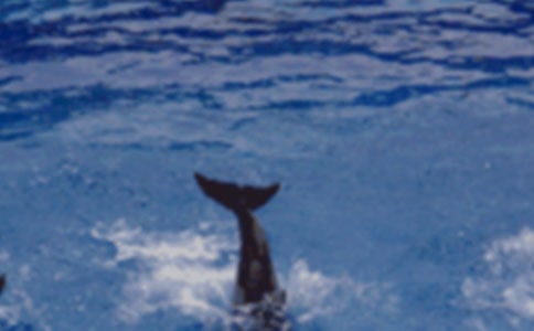 ����Ľ�B���ģ�ͨ��22ƪ��