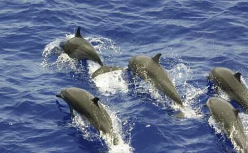 �����ࡷ������g�̰�