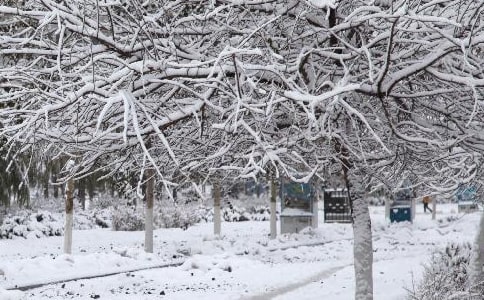 阿勒泰地區(qū)2008-04-17寒潮天氣過程分析