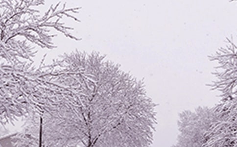 ���Ķ�����������^(gu��)�̌�(du��)�ȷ���