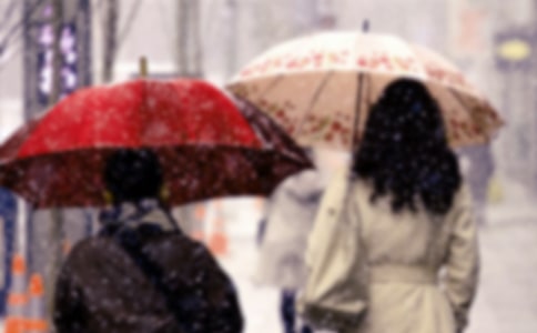 �����������ģ�ͨ��14ƪ��