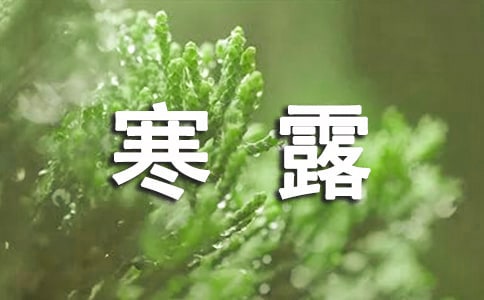 有關(guān)寒露節(jié)氣的日記