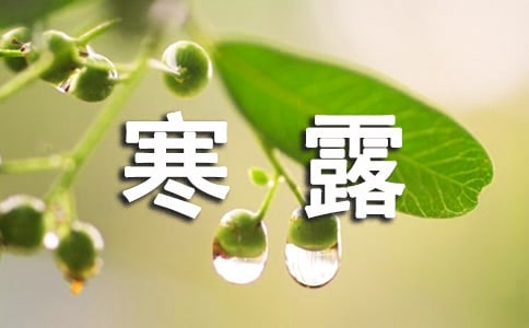 最新寒露的句子
