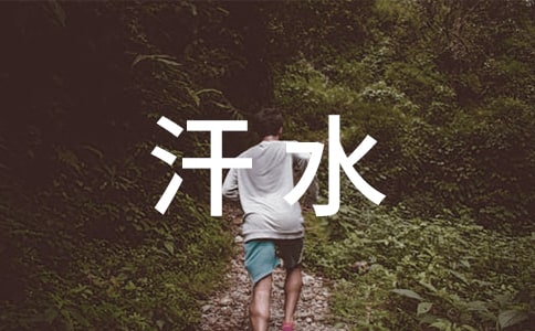 付出汗水,收獲成功作文