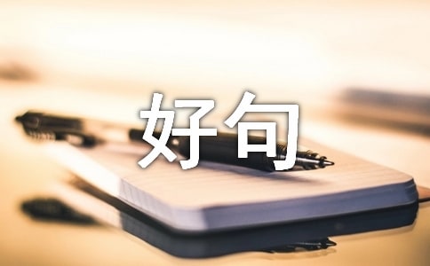 作文素材好句好段摘抄精選