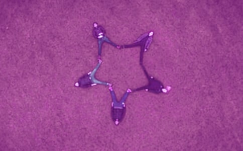 我的好友啦啦散文