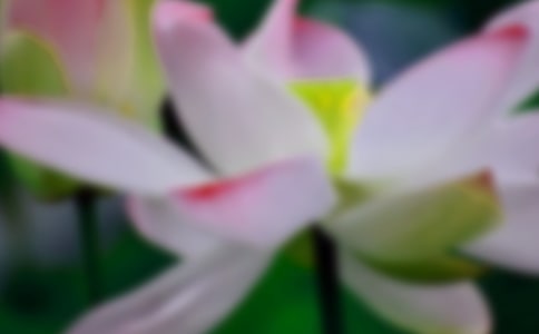 �ɻ�ٝ����