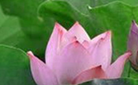 �ɻ�,�ɻ�,�וr(sh��)�_ɢ��