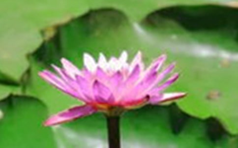 ����w���̰����ɻ��ɻ��וr�_