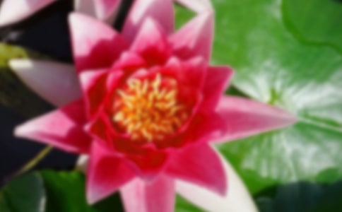 �����ĺɻ����꼉����