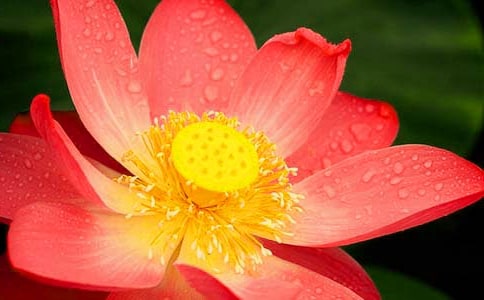 �ɻ��Yٝ����