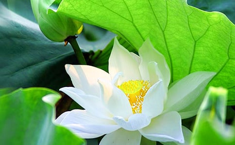 �Ґ�(��i)�ɻ�