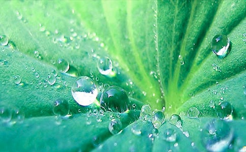 �Ř���~����450��