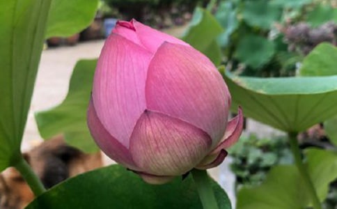 ���~�c�tɏ�x���