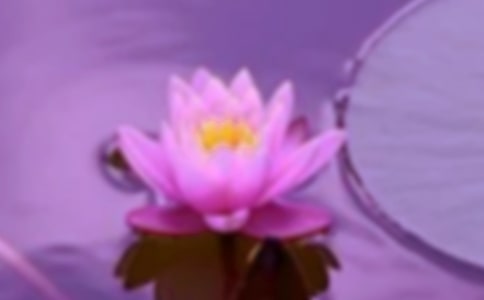 �������C�����P(gu��n)ϵ