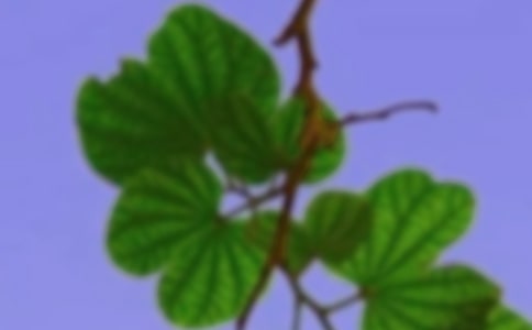 �P(gu��n)�ں��C��������ƪ