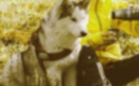 ����Ʒ�����C�������\����ƪ