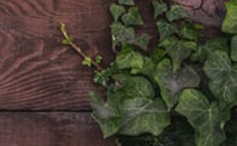 ���C��������950��