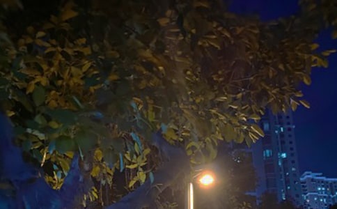 黑夜中的光亮作文