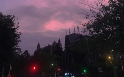 �P(gu��n)�ں�ҹ������3ƪ