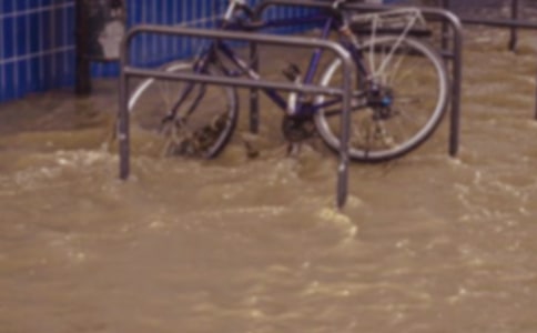 關(guān)于洪水的作文(精選20篇)