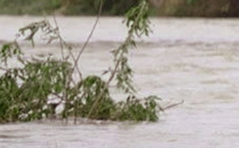 河道洪水演進(jìn)數(shù)值模擬及其在GIS平臺(tái)上的可視化