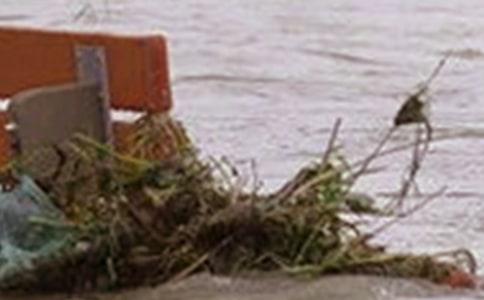 描寫洪水的作文300字