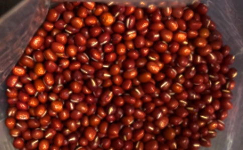 �t��ɼ�ĸж�����