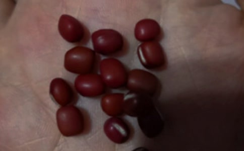 �t��ɼ����