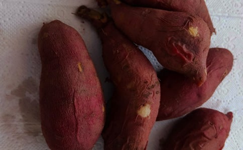 實用的紅薯作文