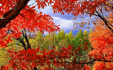 ����Ʒ���t�~����������ƪ