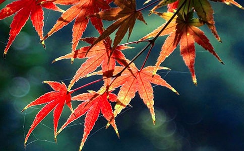 �t�~��������