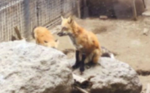 �ٱ���؂�_һ���x��з���900�֣����x9ƪ��