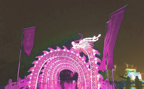 實(shí)用的看花燈日記3篇