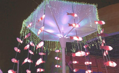 看花燈日記匯編5篇