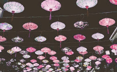 ������g(sh��)���(d��ng)���p�������̰�