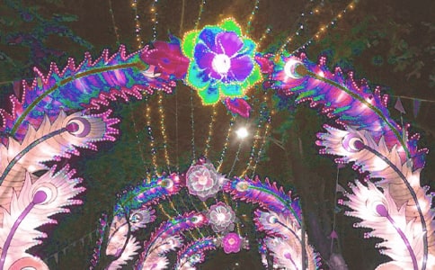 漂亮的花燈的作文